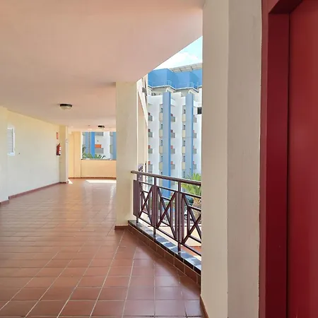 Apartman Obsidian Dinastia